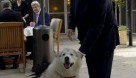 جان کری در تماشای دو سگ پاچه بگیر اسرائیلی +عکس