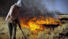 هشدار محیط زیست شهرستان پارس آباد/آتش زدن بقایای محصولات کشاورزی ممنوع+ اطلاعیه