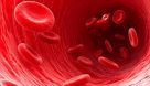 چگونه بفهمیم غلظت خون داریم؟+ راه درمان
